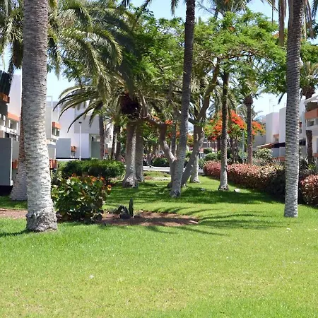 Armonia En Frontera-primavera *