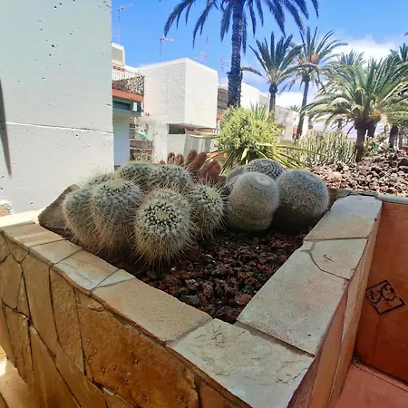 Appartement Armonia En Frontera-primavera Costa Del Silencio